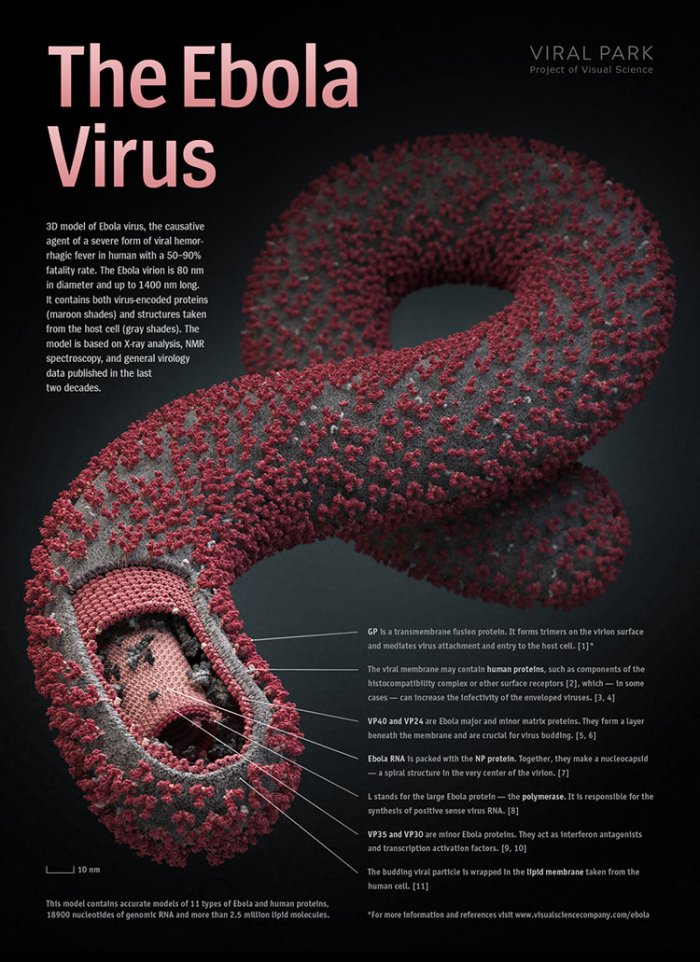 visual-science-ebola-poster-1.jpg