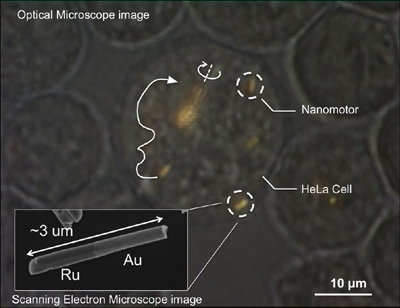 cnews-mallouk_microscope_image_2_2014.jpg
