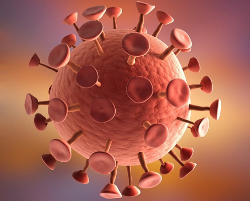 popmech-hiv-virus-aids-magnified-1000.jpg