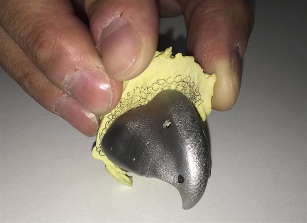 brazilian-parrot-receives-worlds-first-3d-printed-titanium-beak4.jpg
