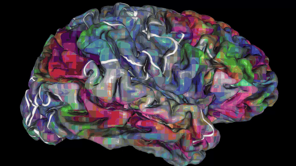 Ирритация коры головного мозга. Интерактивный мозг. Мозг полушария на фиолетовом фоне. Участки мозга под психоделиками.