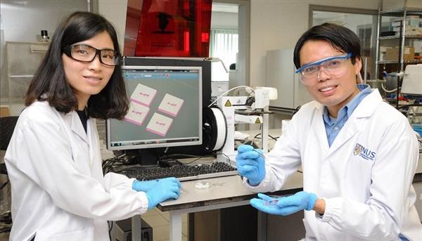 singapore-researchers-develop-3d-printed-pills-with-customized-release-rates-1.jpg