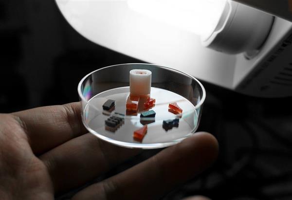 singapore-researchers-develop-3d-printed-pills-with-customized-release-rates-2.jpg