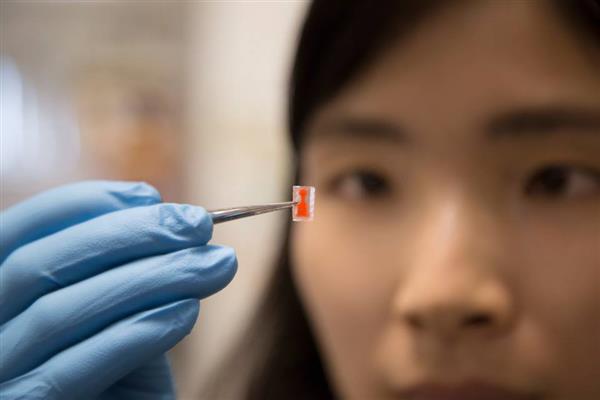 singapore-researchers-develop-3d-printed-pills-with-customized-release-rates-4.jpg
