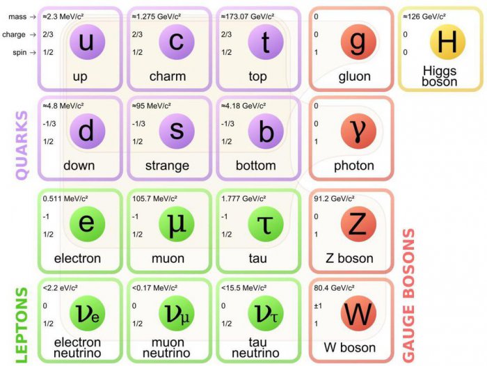 startswithabang_files_2017_03_standard_model_of_elementary_particles.svg_-1200x901-1200x901.jpg
