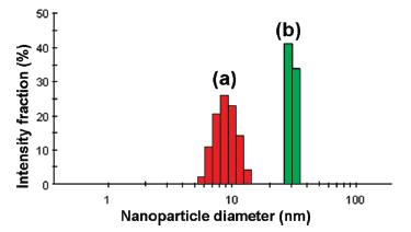 nanometer-04_0.JPG