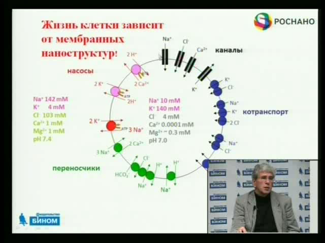 Максимов Георгий Владимирович 3 часть